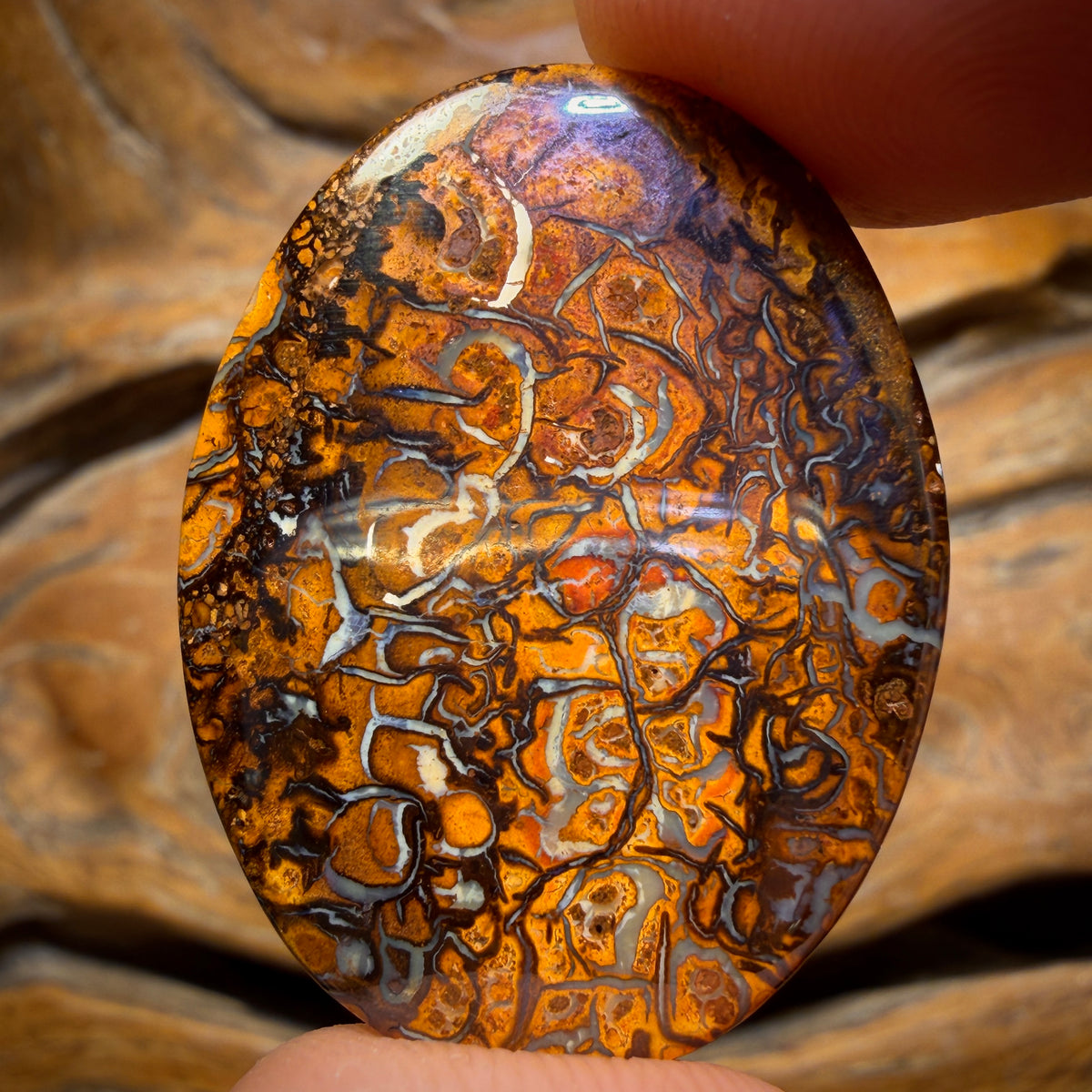 47.2cts - Tribal Yowah Nut Opal. Double Sided