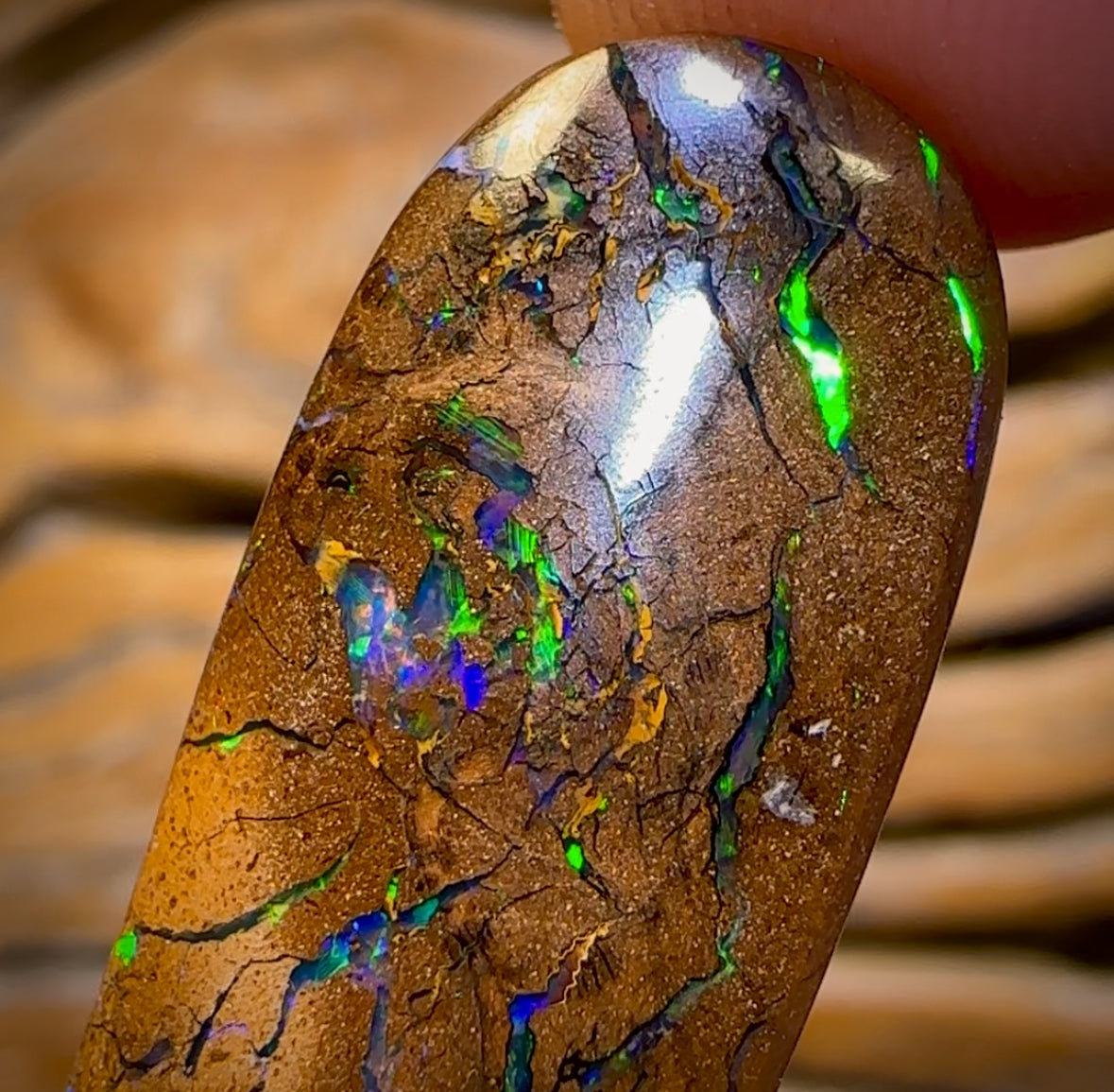 30.9cts - Queensland Boulder Opal from Yowah. Electric Green!