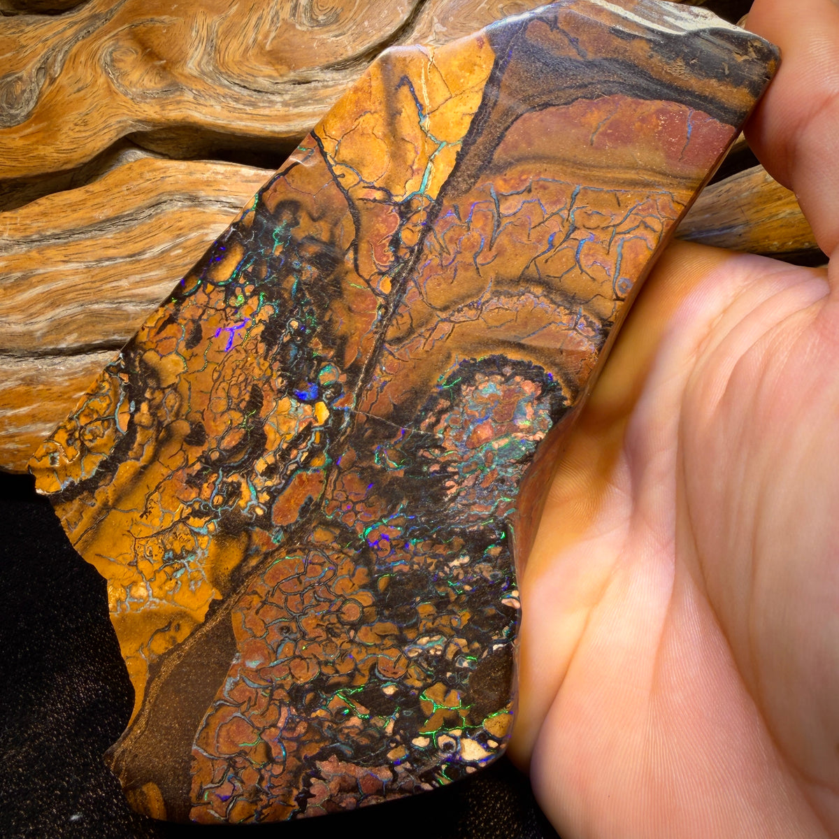 4278cts(Nearly 1 kg) - GIANT Tribal Yowah Nut Opal Pair. Polished Specimens