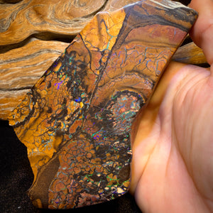 4278cts(Nearly 1 kg) - GIANT Tribal Yowah Nut Opal Pair. Polished Specimens