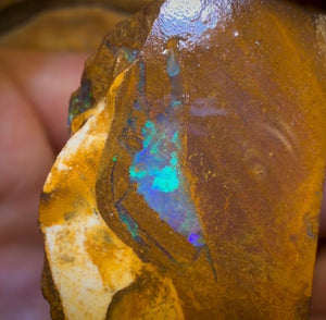 🔒154.7cts - 3x Australian Boulder Opal Rough Parcel