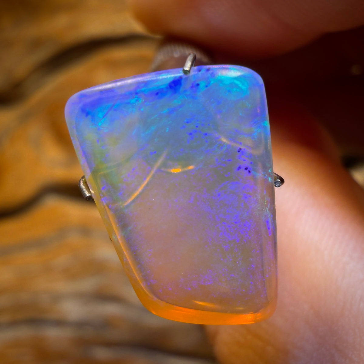 🔨 AUCTION 🔨 No Reserve 6.1cts - Queensland Boulder Crystal Opal