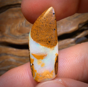 10.7cts - Yowah Nut Opal. Australian Opal