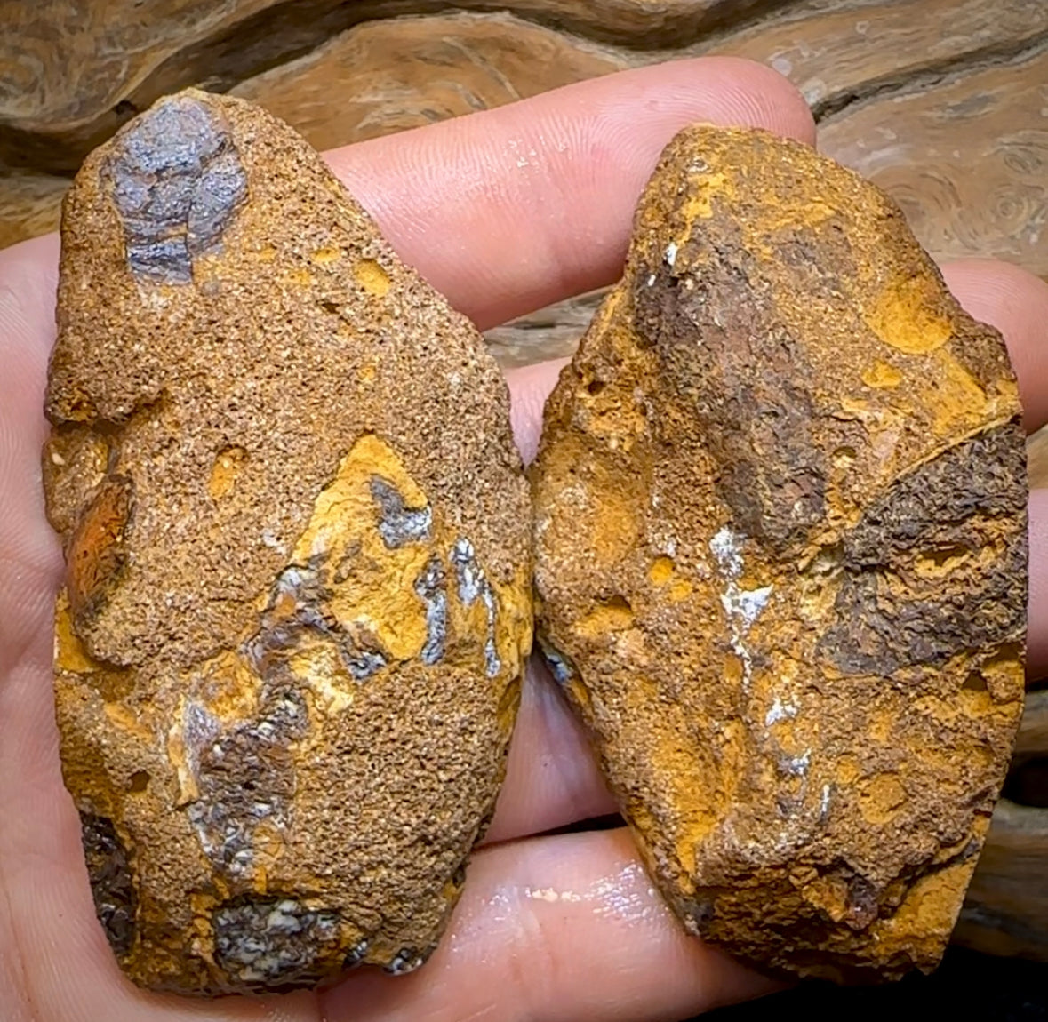 495.1cts - Yowah Nut Rough Specimen Pair. Australian Boulder Opal - Opal Whisperers