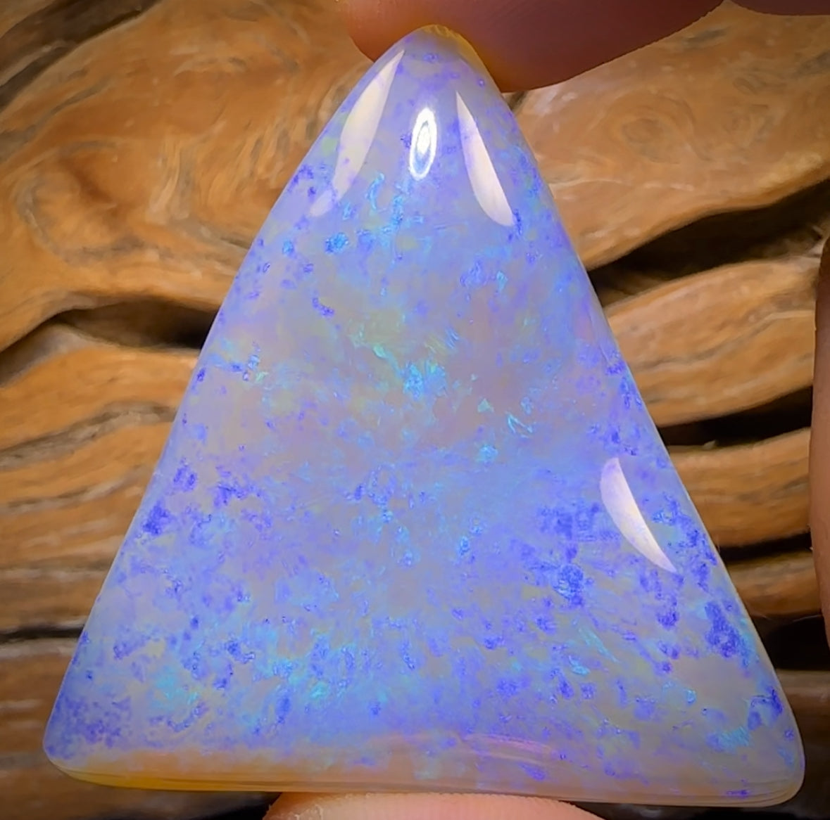 137.2cts - “The Titan” HUGE GEM Lightning Ridge Crystal Opal.