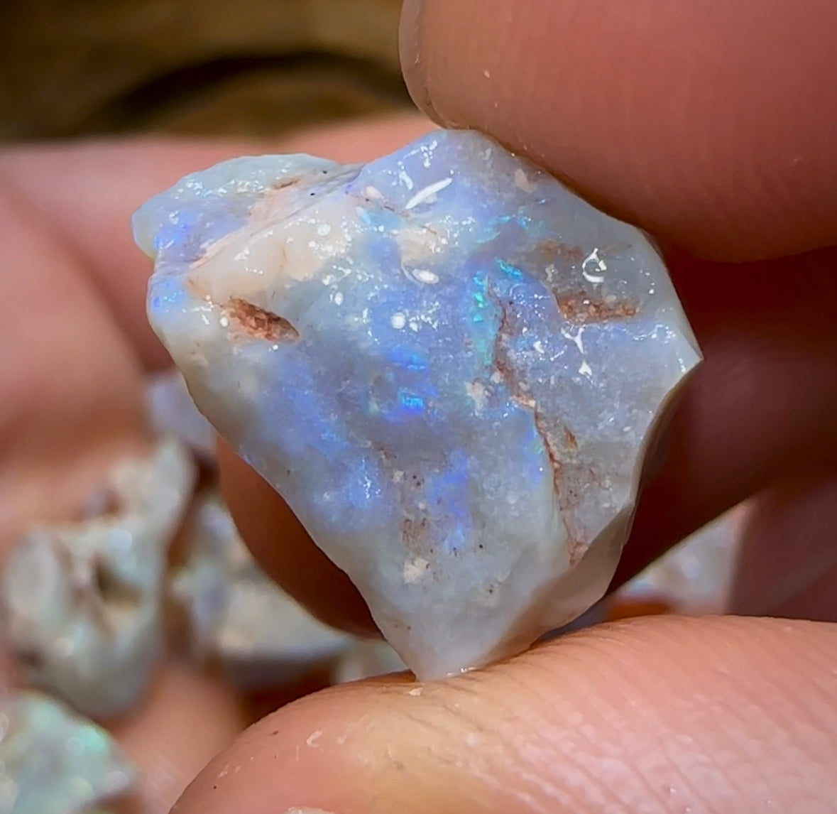 (Template) 62.45cts - 14x Lightning Ridge Crystal, Dark and Light Opal Rough - Opal Whisperers