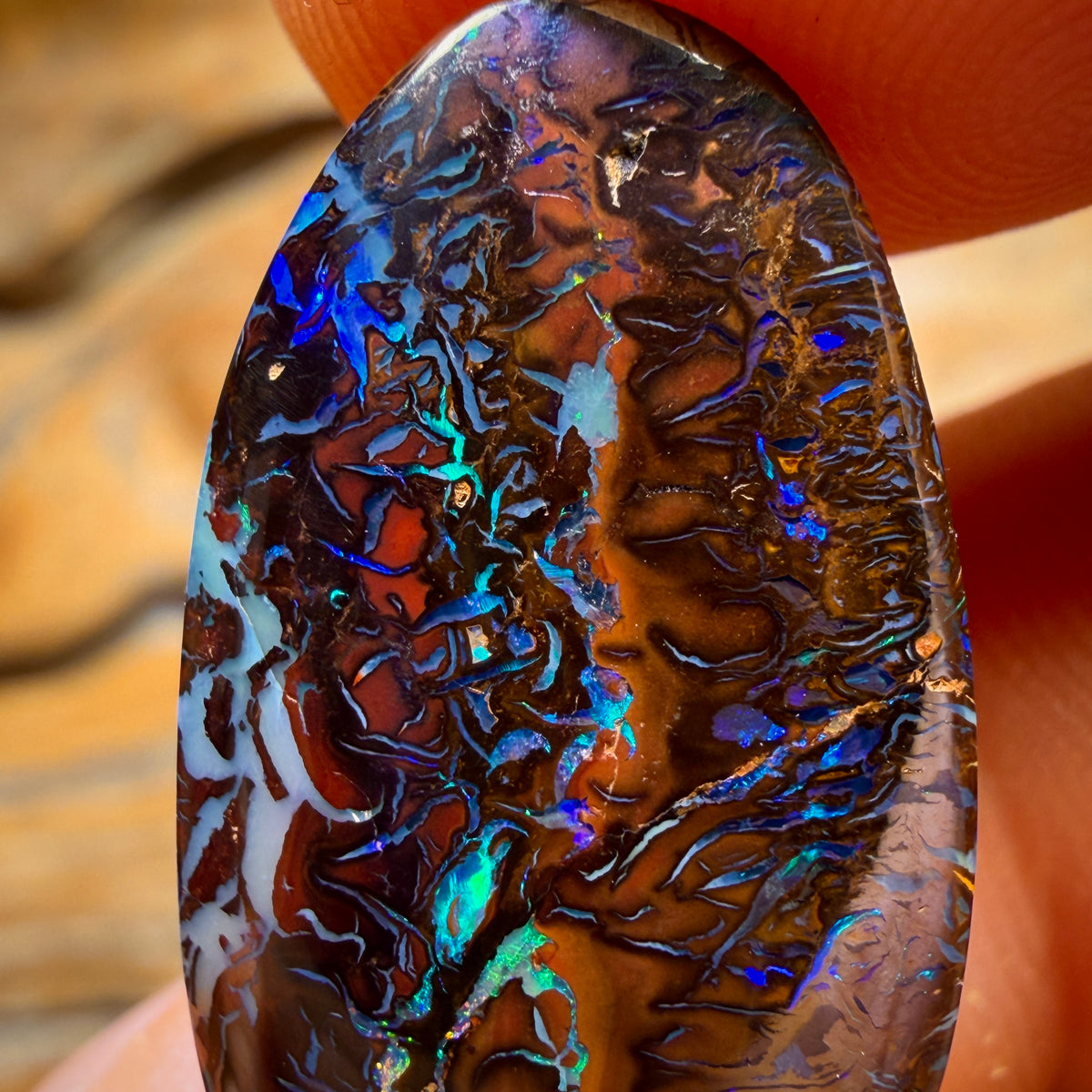 Wildcard! 18.8cts - Black Top Tribal Queensland Boulder Opal Picture Stone from Koroit