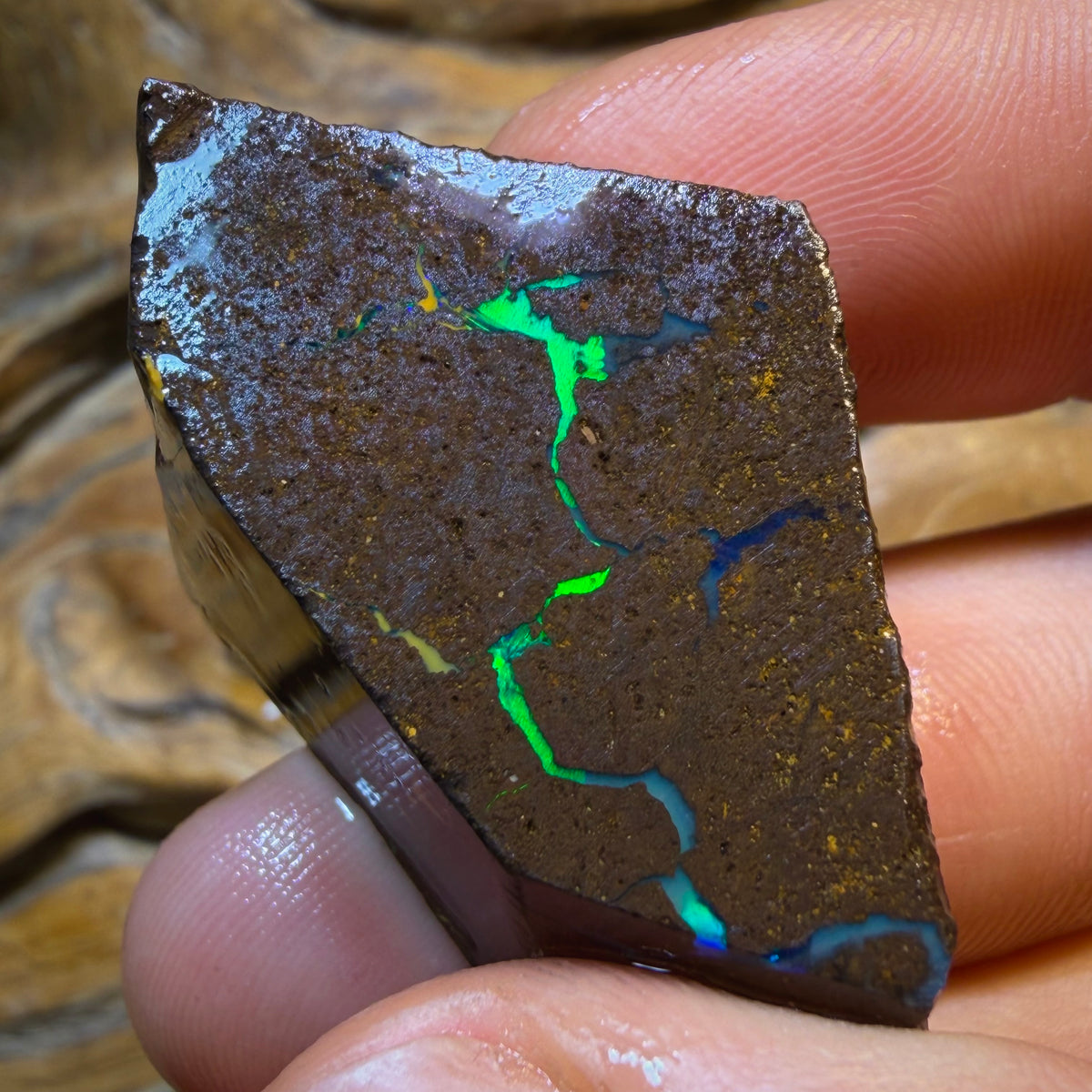 Dad Card! 293cts - Top Queensland Boulder Seam Opal Rough Pair. Natural Split