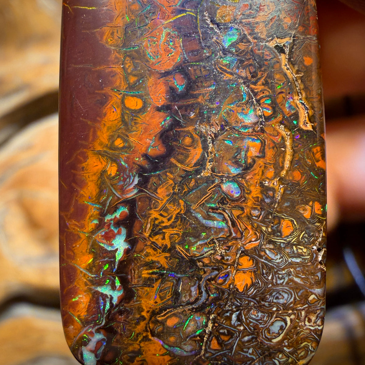 33 x 18mm - Drilled Tribal Queensland Boulder Opal Necklace