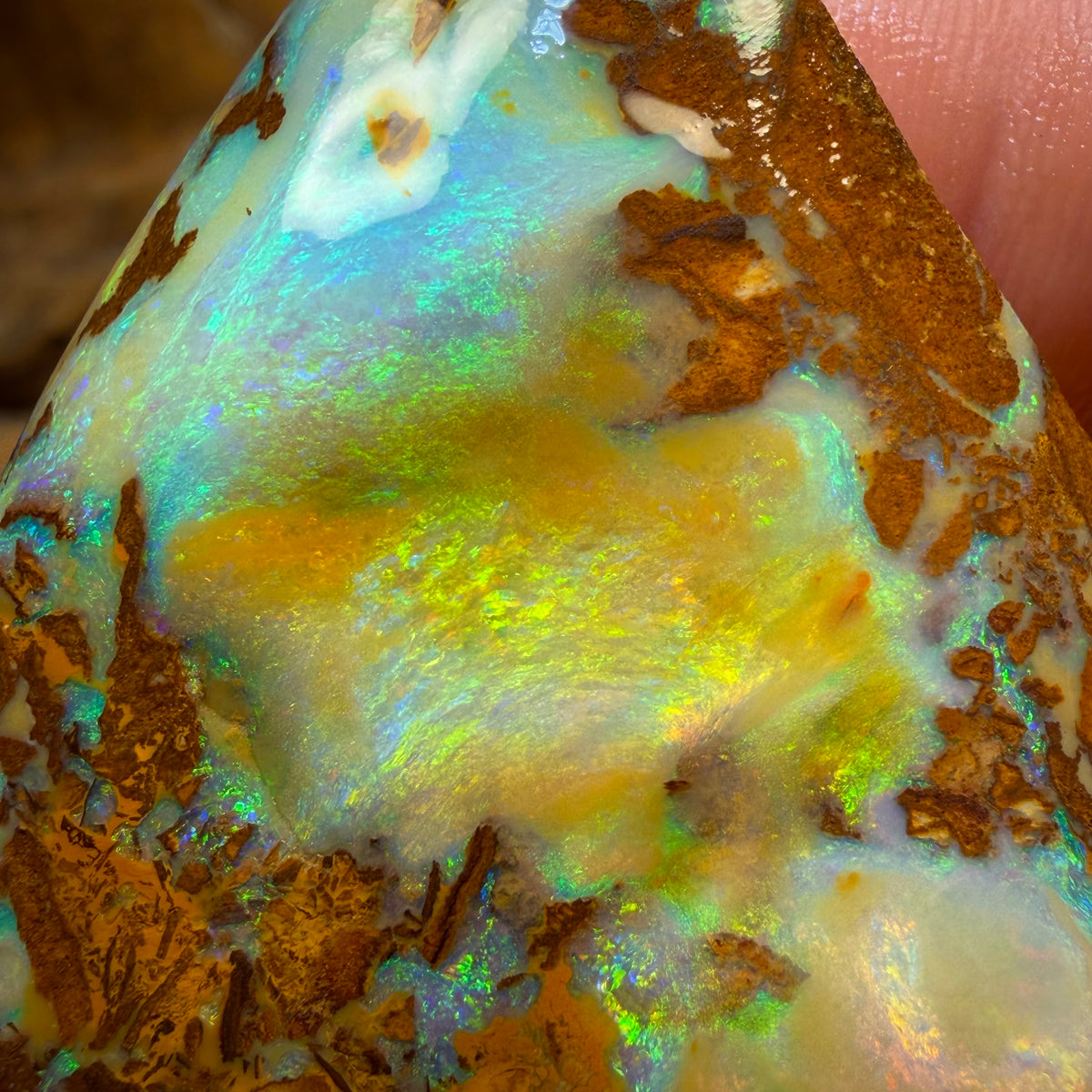 185.8cts - TOP Vegetation Fossil Replacement Boulder Opal Rub. Double Sided!