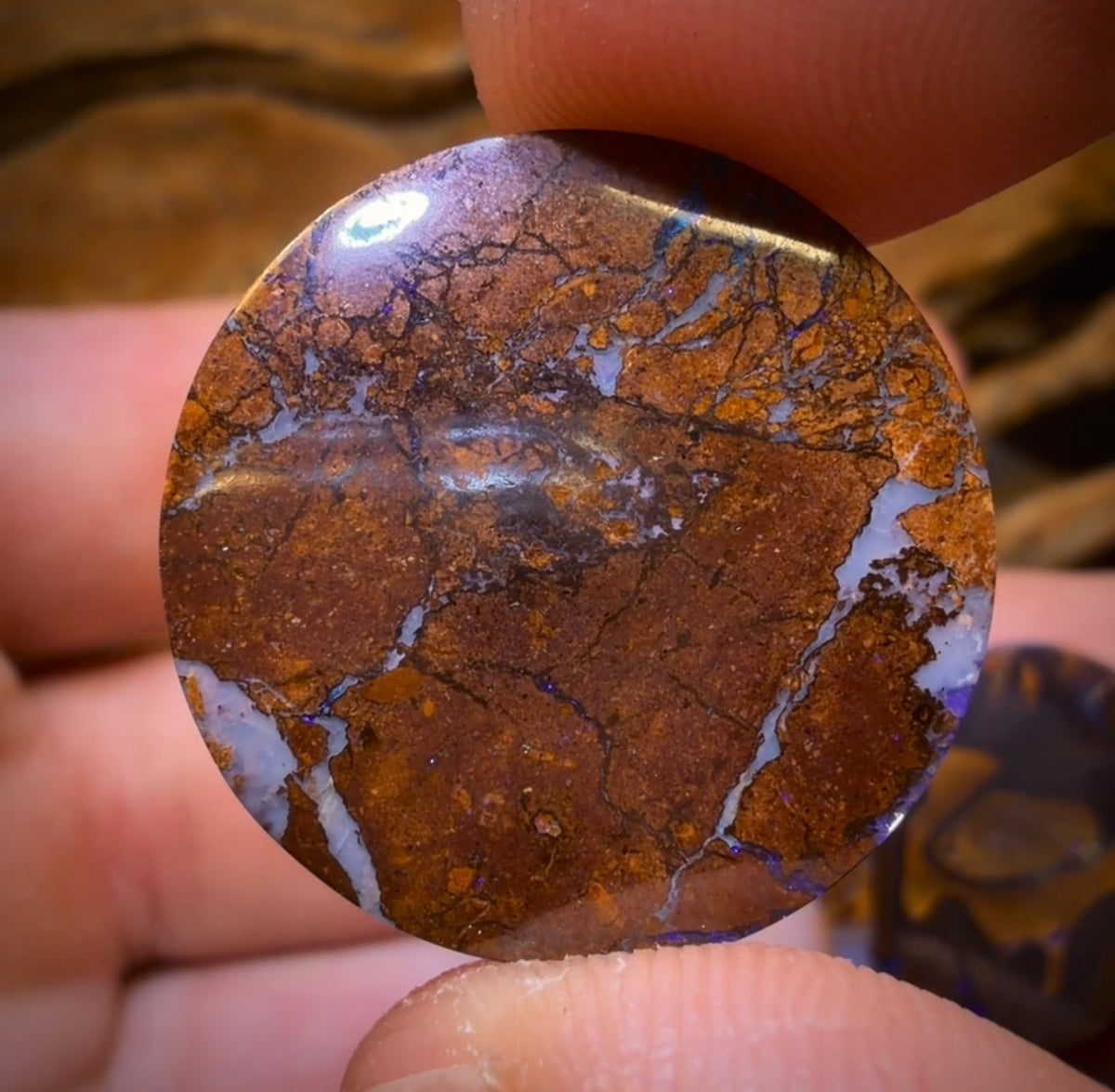 49.3cts - 3x Australian Boulder Opal’s. Wholesale Dealers Parcel Bargain