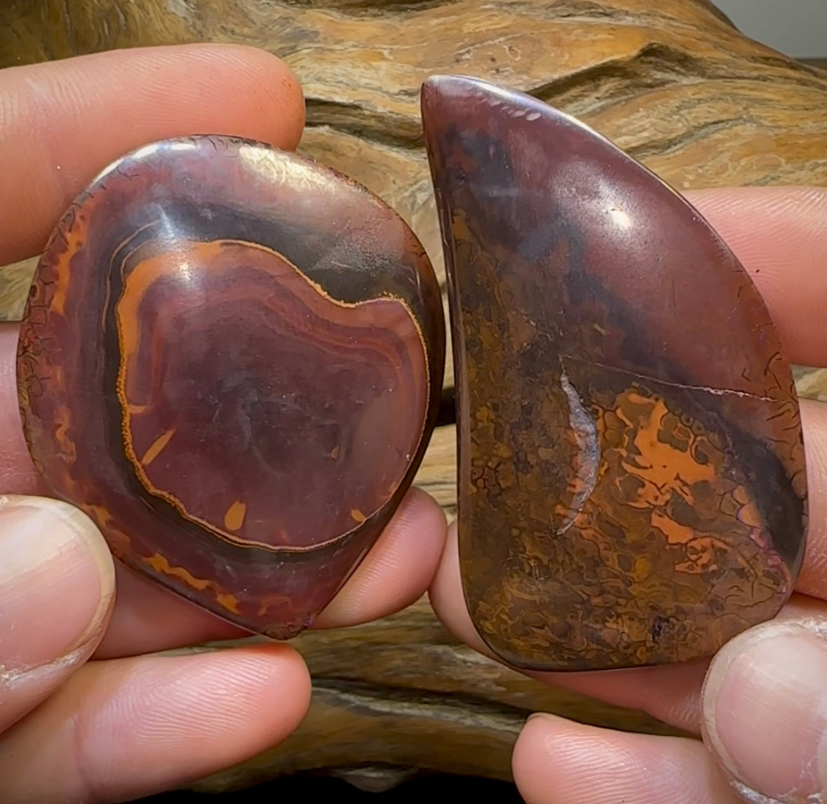 342.7cts - Yowah Nut Opal Specimen Pair. TRIBAL PATTERN - Opal Whisperers