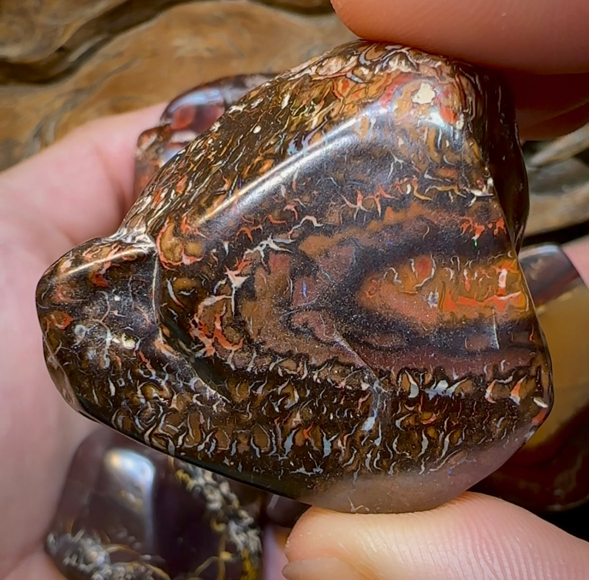 Large Queensland Boulder Opal Baroque Tribal Pattern Specimens - Opal Whisperers