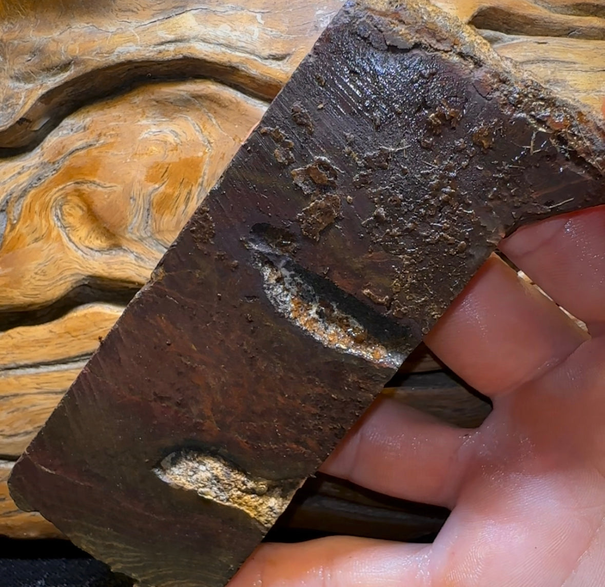 292g - Queensland Boulder Seam Opal Rough Specimen - Opal Whisperers