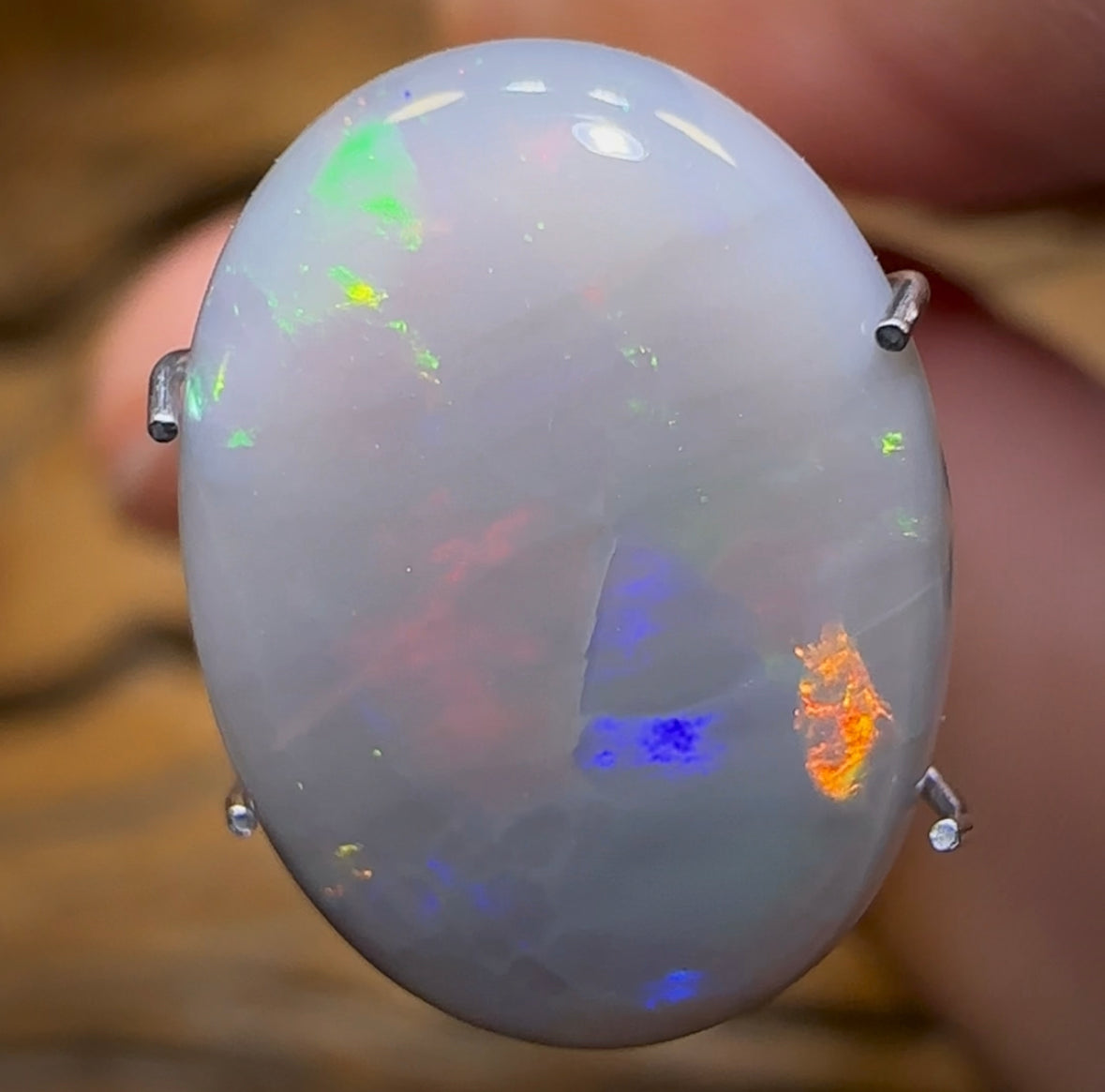4.9cts - Dark Opal from Lightning Ridge. SUN FLASH - Opal Whisperers