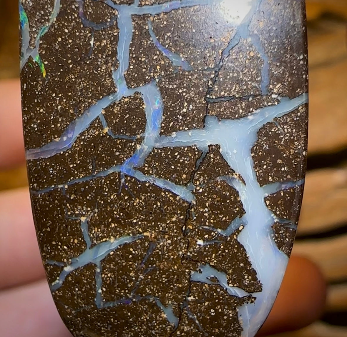 173.4cts - Australian Boulder Opal Set. Winton Seam Opal. Double Sided - Opal Whisperers