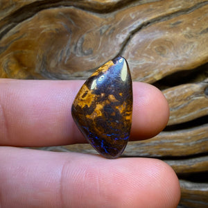 🔨 AUCTION 🔨 20.3cts - Queensland Boulder Opal from Yowah