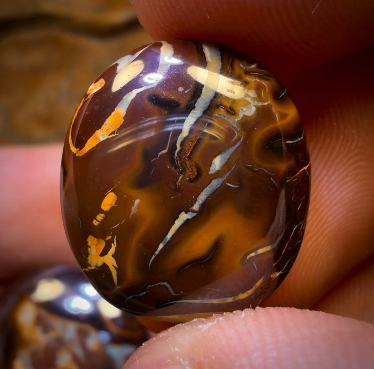 93.2cts - 3x Yowah Nut Opal’s. Wholesale Dealers Parcel