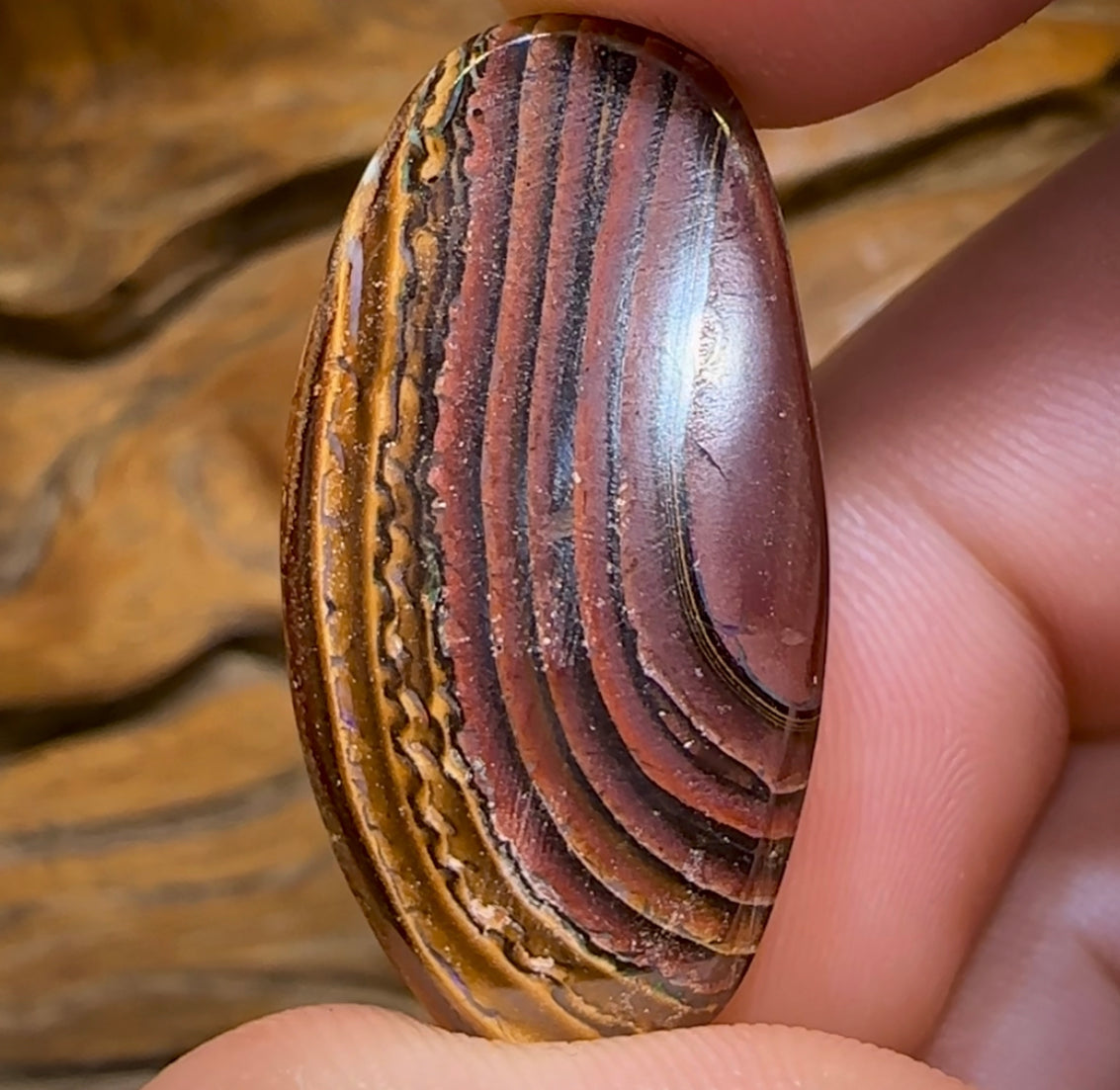 47.6cts - Yowah Nut Tribal Opal. Australian Opal - Opal Whisperers