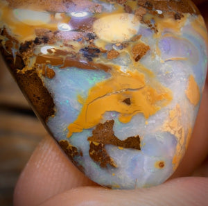 19.8cts - Yowah Nut Opal. Australian Opal