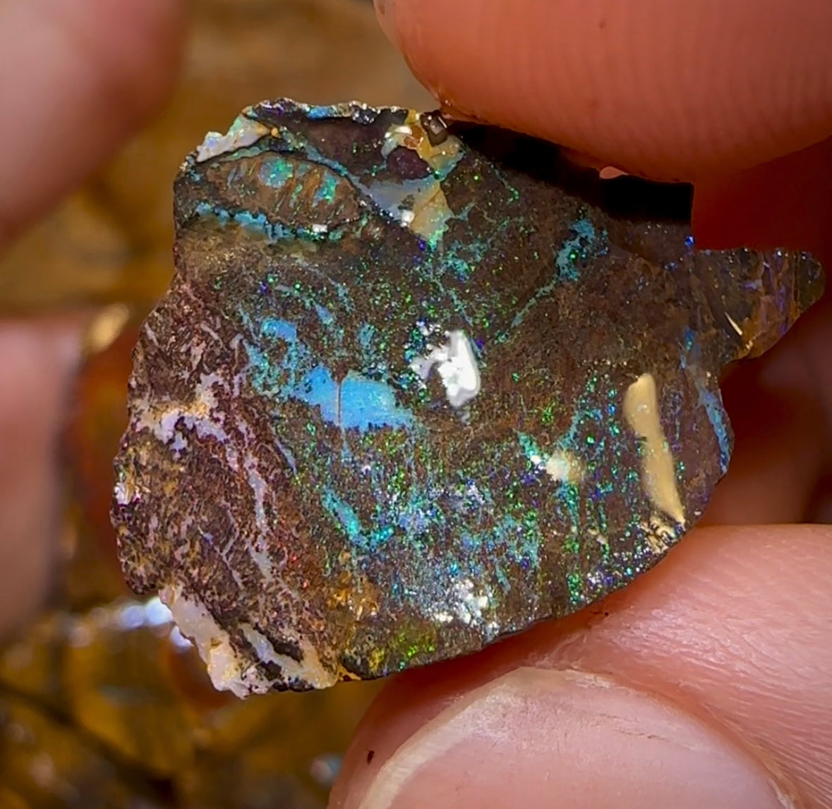 436.8cts - 12x Yowah Opal Rough Pieces. Australian Boulder Opal - Opal Whisperers
