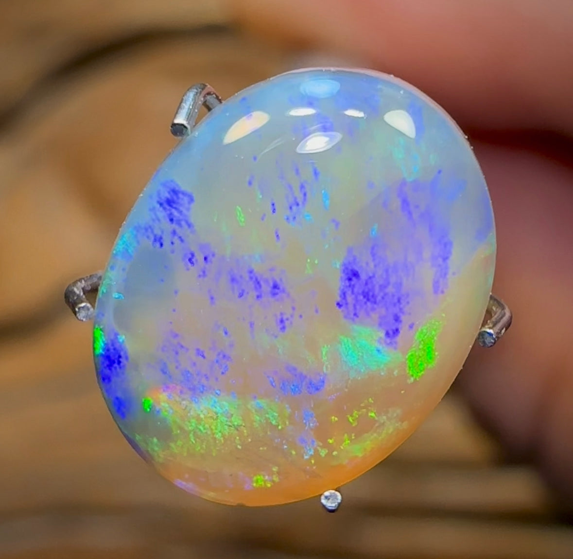 3.1cts - Lightning Ridge Crystal Opal - Opal Whisperers