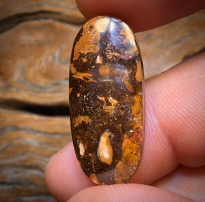 19.3cts - Yowah Nut Opal. Australian Opal