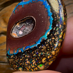 258.1cts - “Crazy Eyes” Top Tribal Yowah Nut Opal Pair. Double Sided