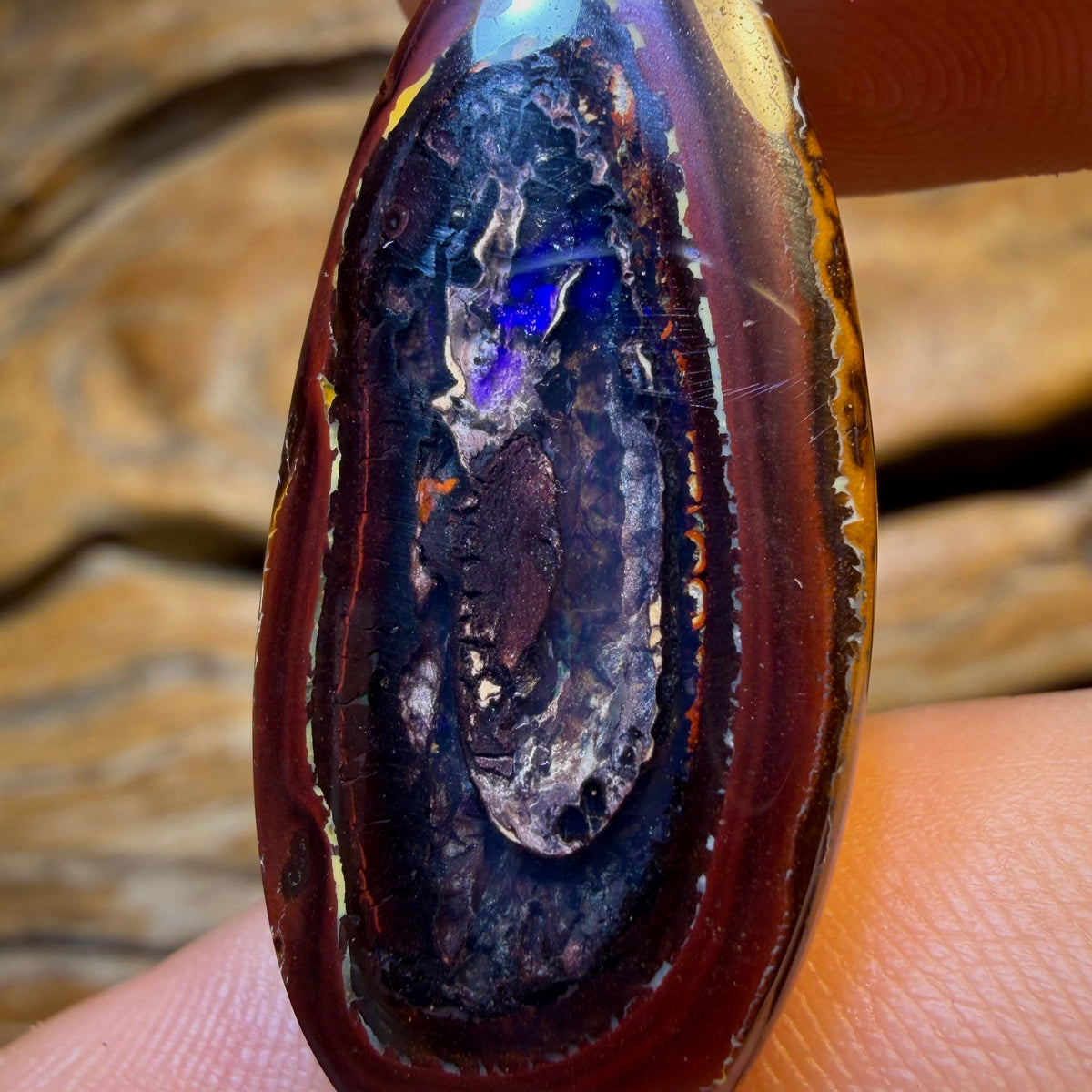 🔨 AUCTION 🔨 64.4cts - RARE Yowah Nut Partial Crystal Centre Pair Polished