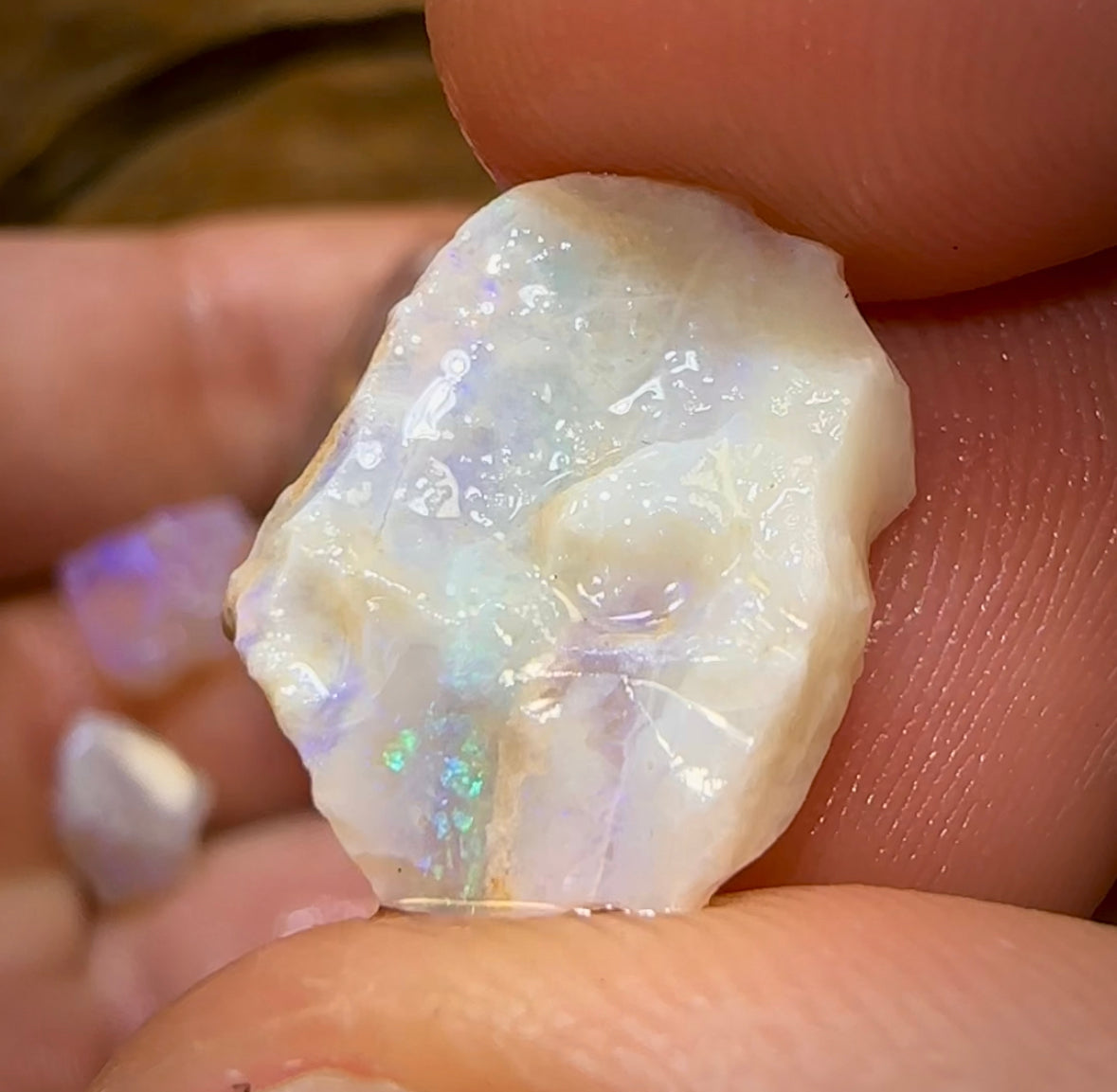 (Template) 55.7cts - 7x Lightning Ridge Crystal Opal Rough - Opal Whisperers