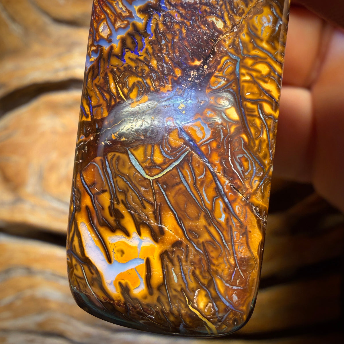 51 x 20mm - Drilled Tribal Queensland Boulder Opal Necklace