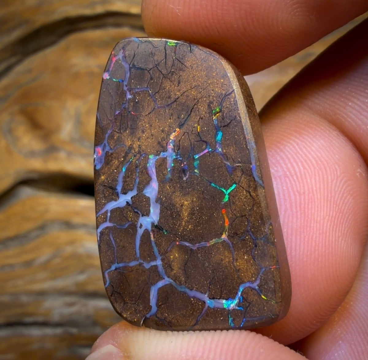 35.6cts - Queensland Boulder Seam Opal. Red Multicolours!