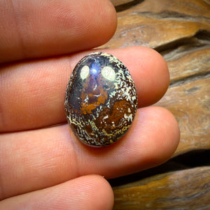 WILDCARD KERNEL 19.5cts - Yowah Nut Crystal Centre Opal. Australian Boulder Opal