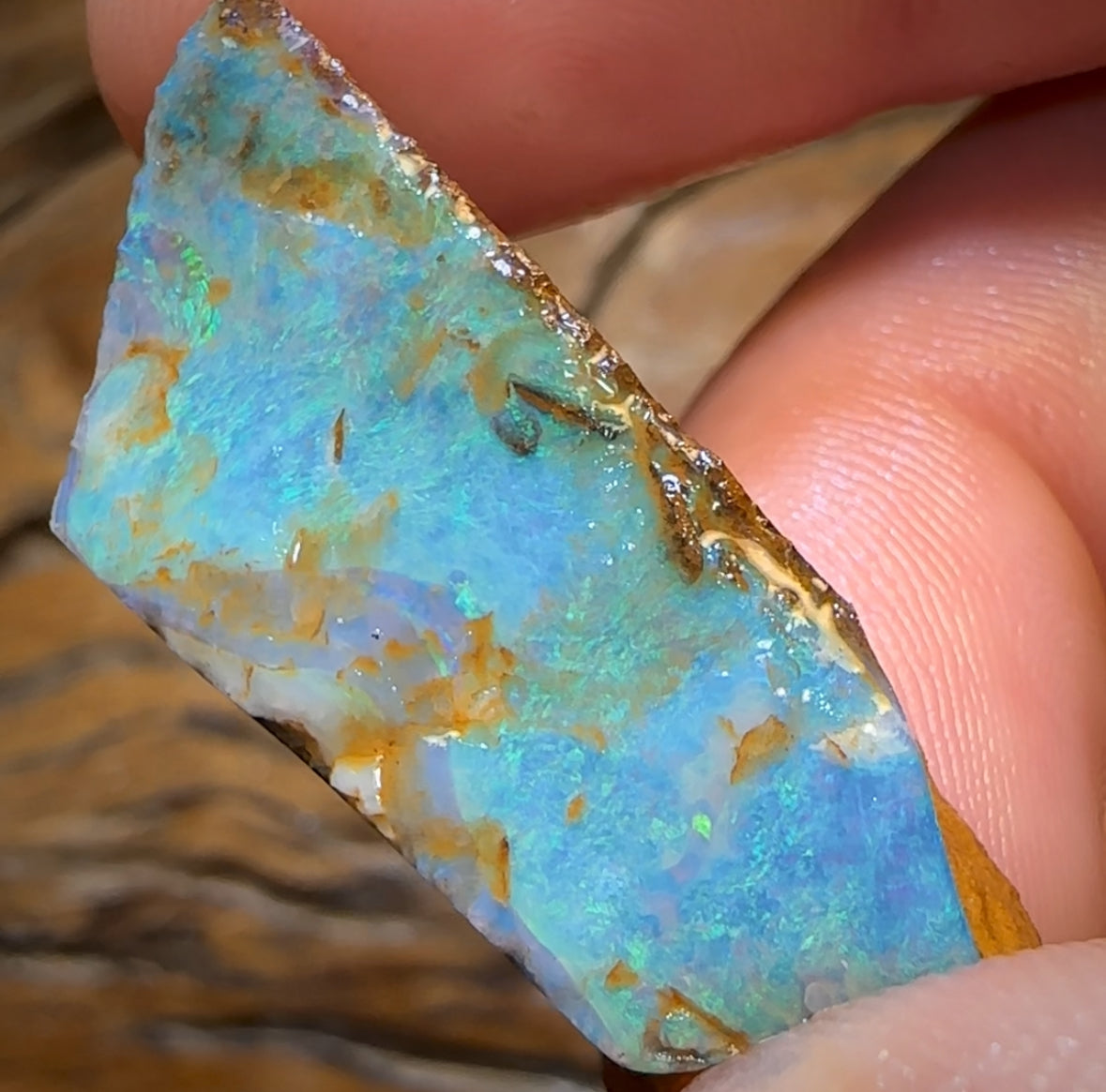 25.1cts - Queensland Boulder Opal Preform Rub