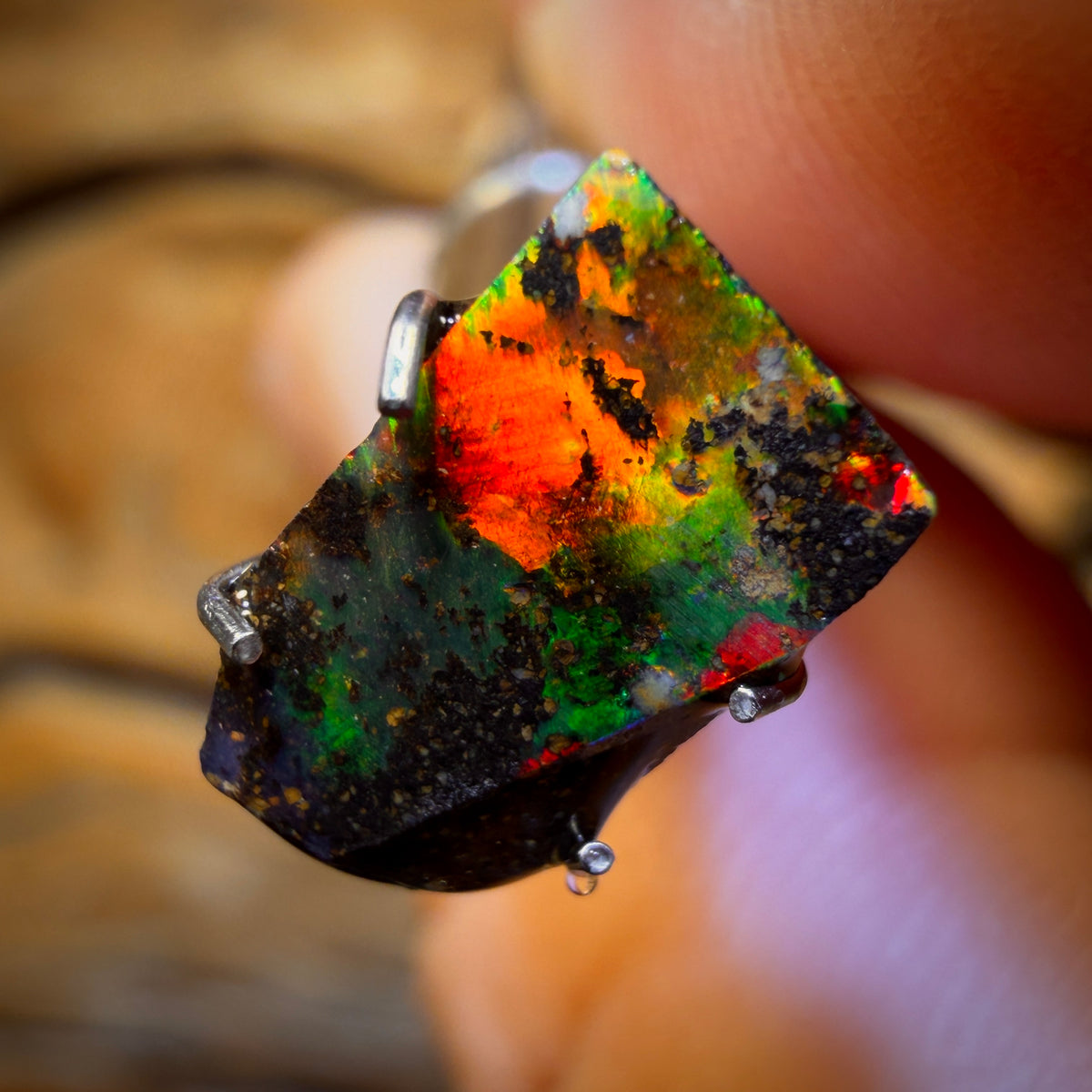🔨 AUCTION 🔨 1.4cts - Queensland Boulder Seam Opal Rub
