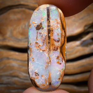 19.3cts - Yowah Nut Opal. Australian Opal