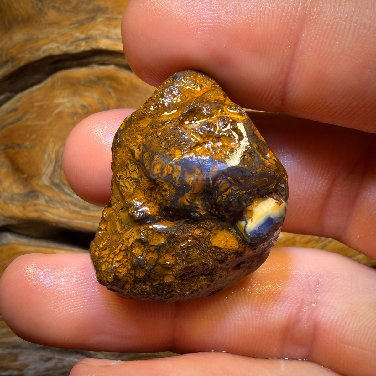 106.7cts - Awesome Tribal Yowah Nut Opal Rough Piece. Found on ‘OUTBACK OPAL HUNTERS’!!