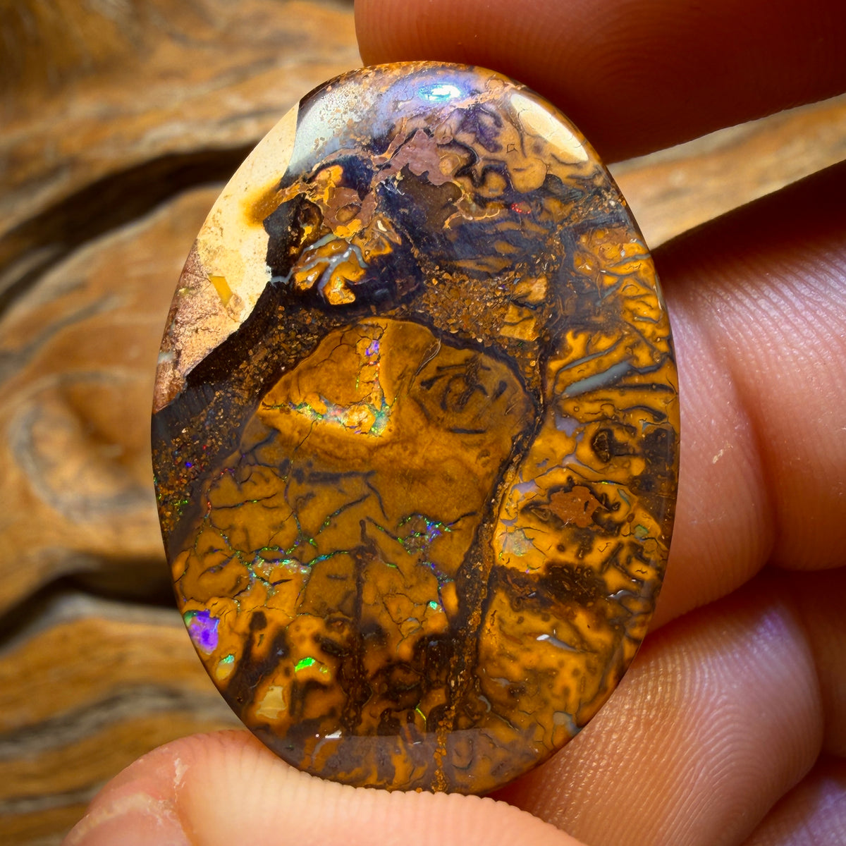 67.5cts - Tribal Queensland Boulder Opal from Yowah