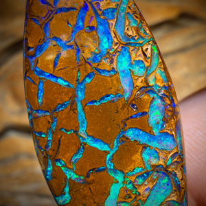 40.4cts - TOP Tan Tribal Australian Boulder Opal from Yowah