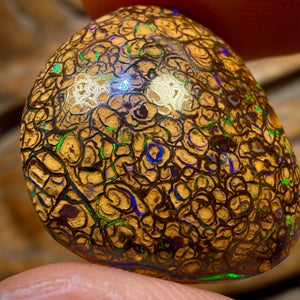 22.5cts - Tan Tribal Queensland Boulder Opal from Yowah