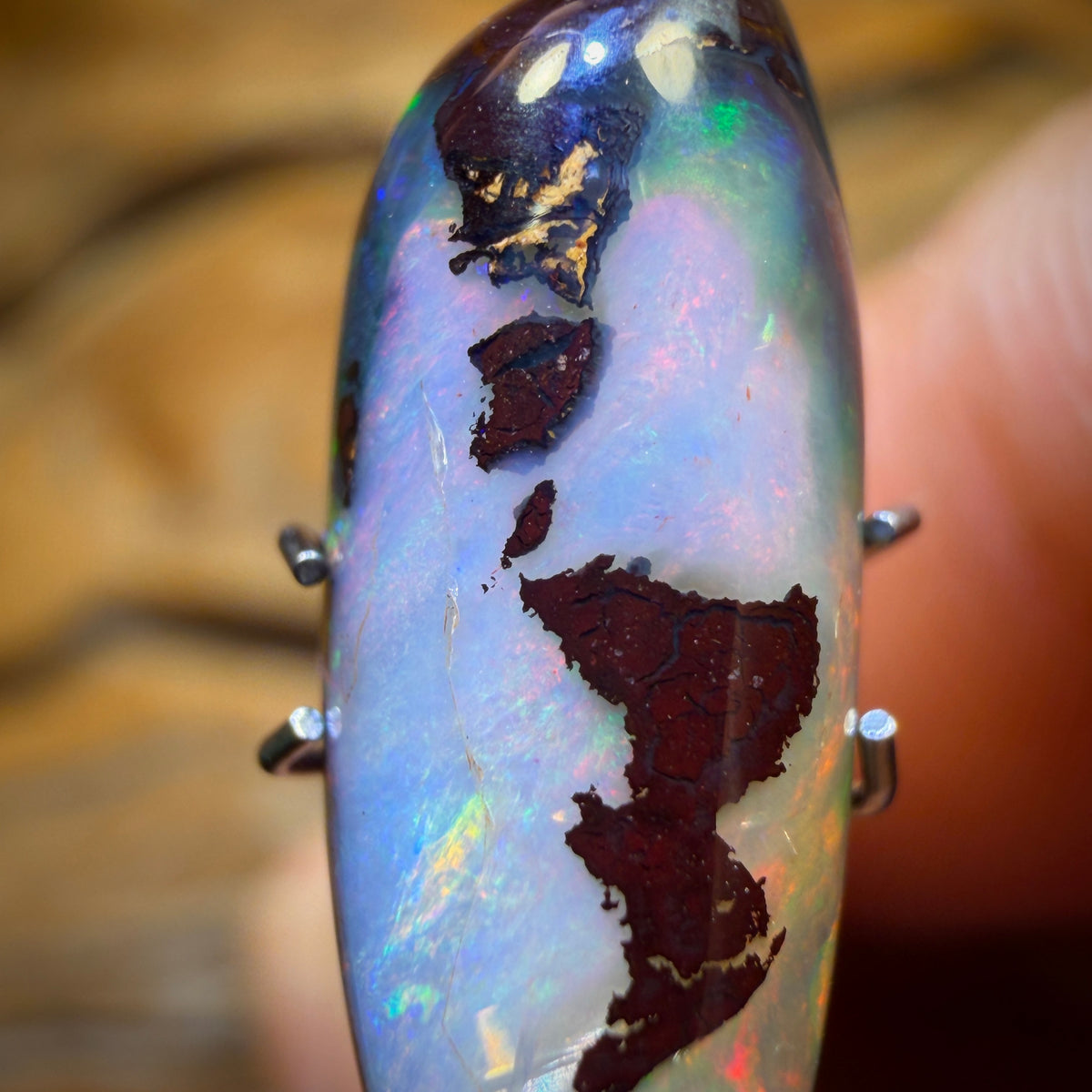 8.2cts - Tribal Kernel Queensland Boulder Crystal Center Opal from Koroit