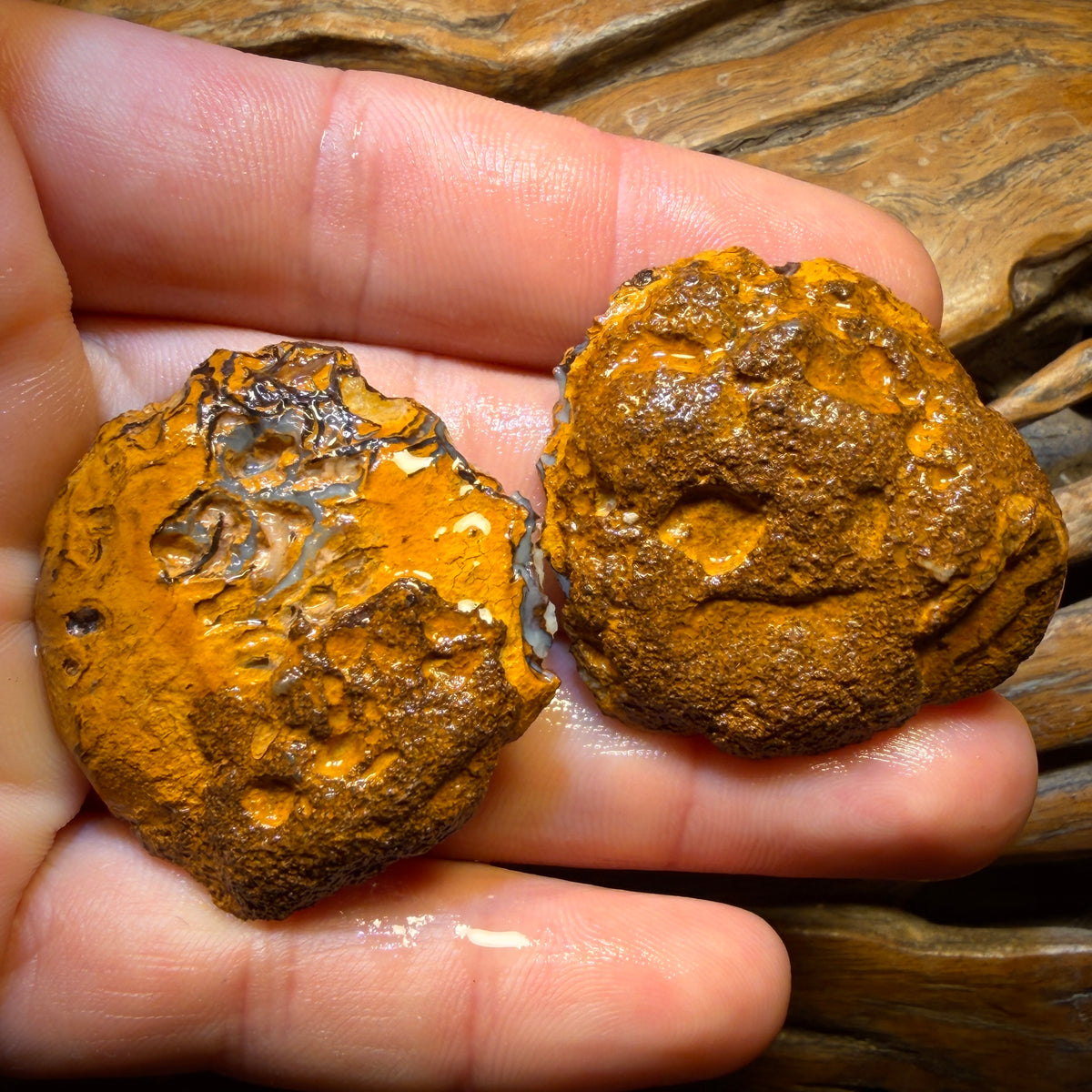Wildcard! 112.8cts - Yowah Nut Tribal Opal Rough Specimen Pair