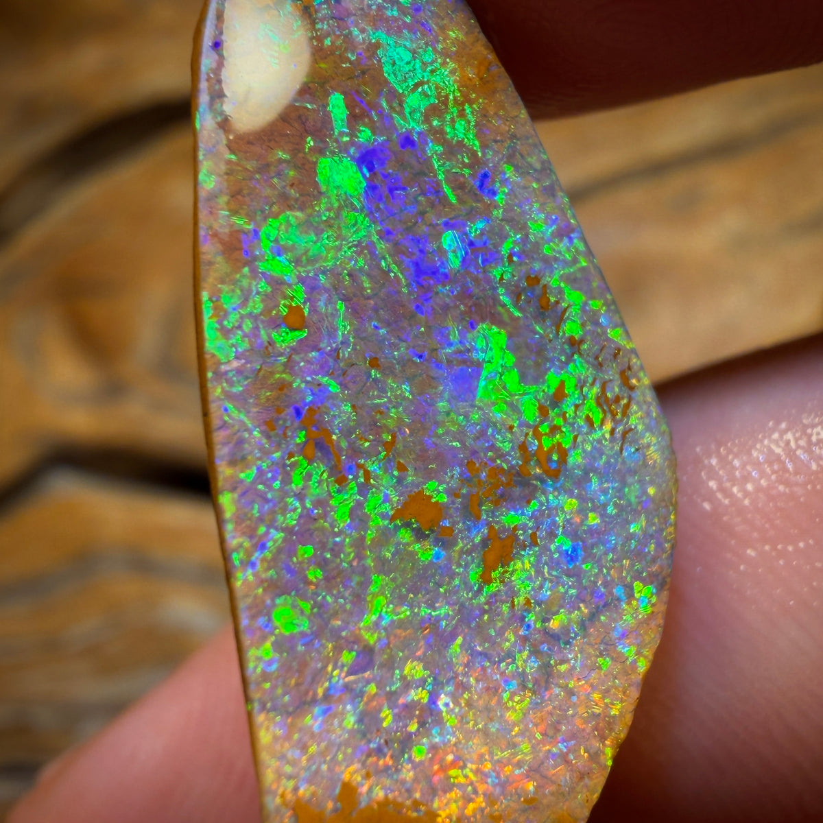 34.7cts - TOP Yowah Nut Opal Rub. Featured on ‘OUTBACK OPAL HUNTERS’!!