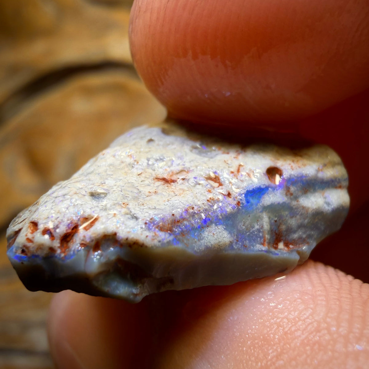 16.8cts - Lightning Ridge Opal Rough Piece