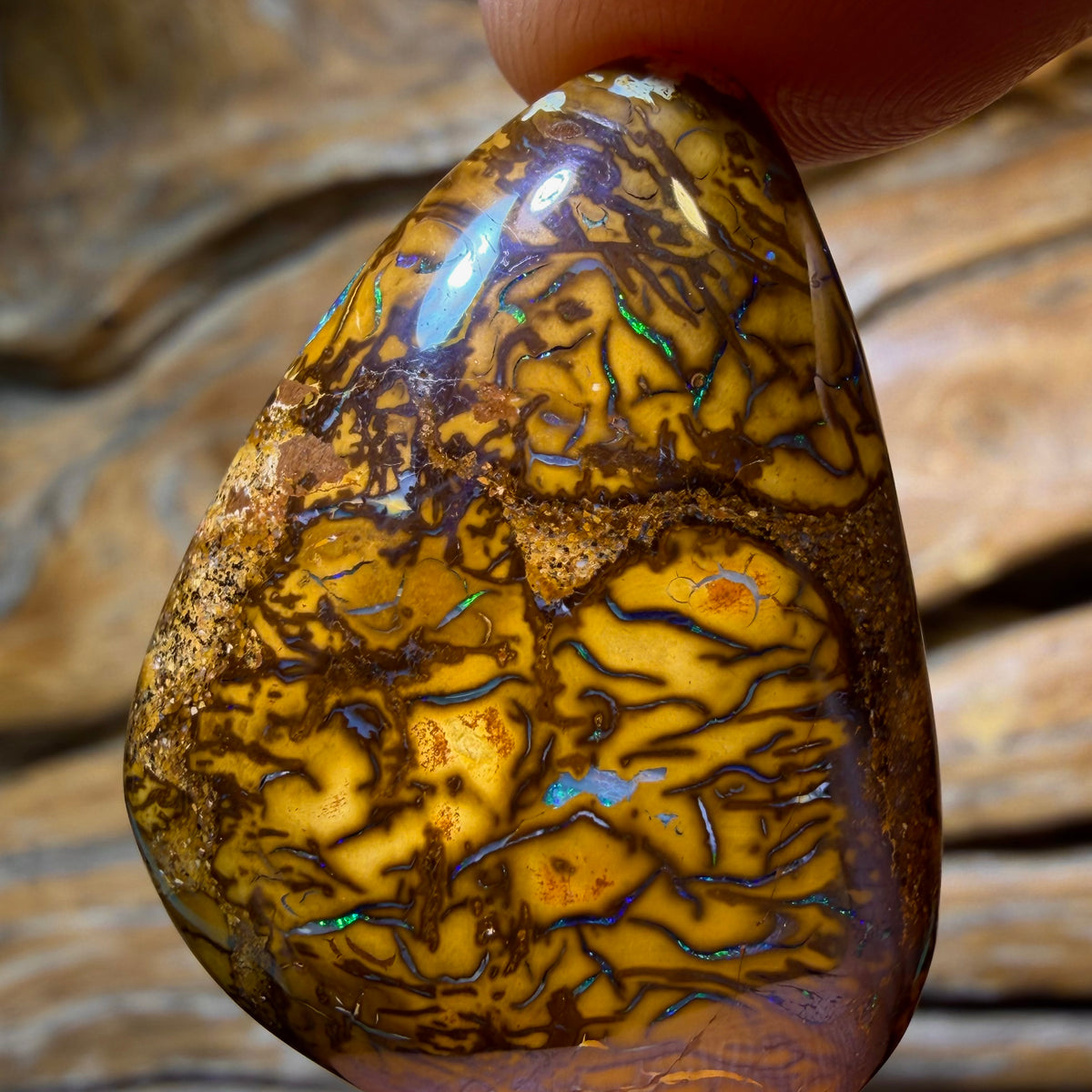 HDW 46.1cts - Tribal Queensland Boulder Opal. Australian Opal
