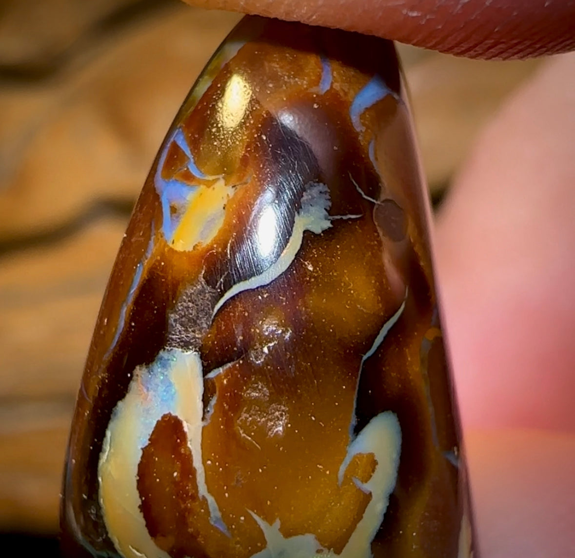 37.2cts - “ Coffee Kernel Frog ” Yowah Nut Polished Specimen Picture Stone