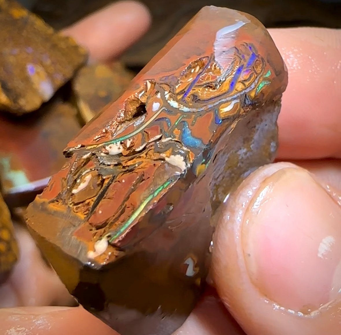 Gem store Boulder Opal Rough