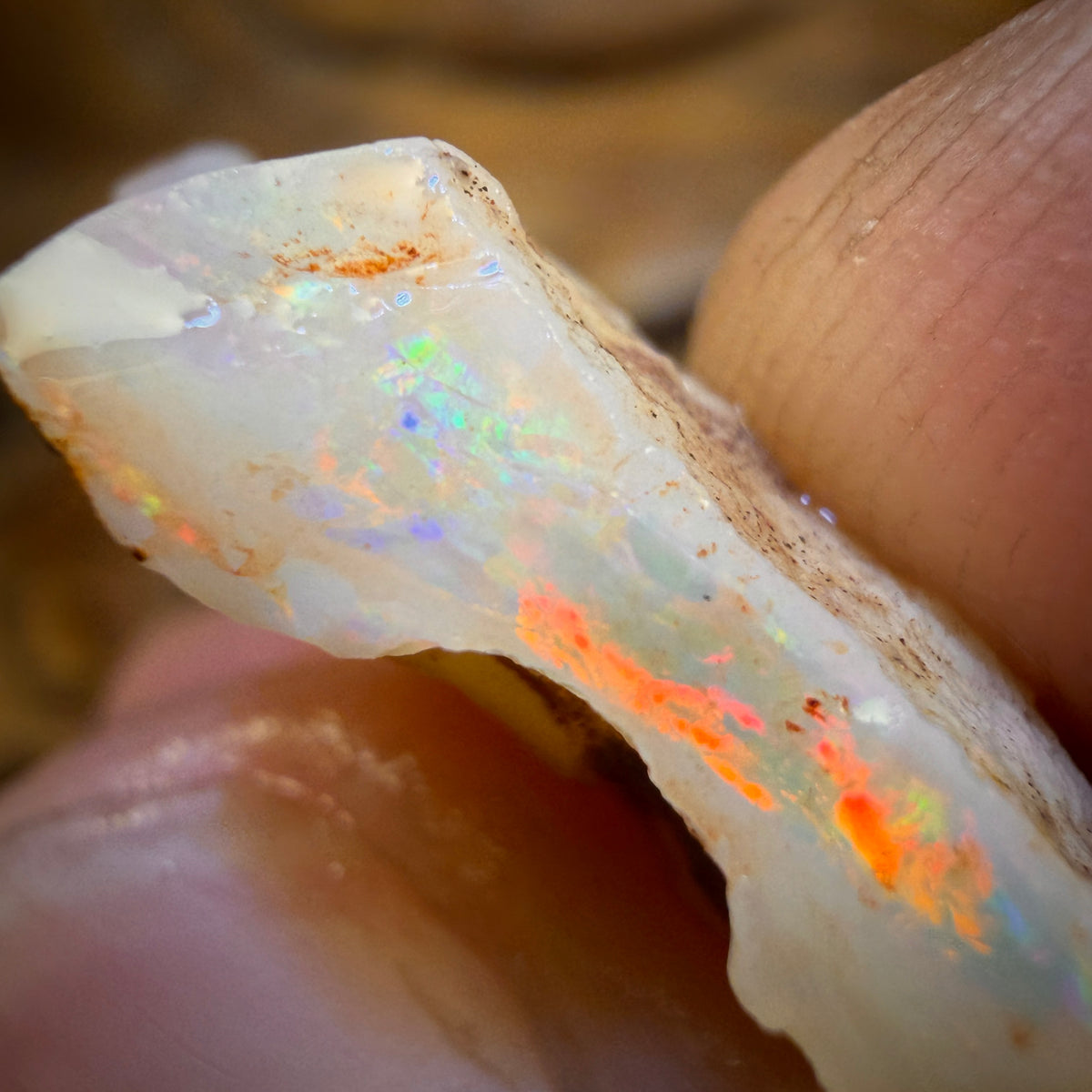 11.9cts - South Australian White Opal Rough Piece
