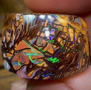 58cts - Yowah Nut Opal Polished Specimen. Tribal Pattern