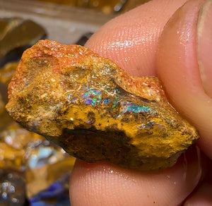 198g - Bulk Queensland Boulder Opal Rough Pieces - Opal Whisperers